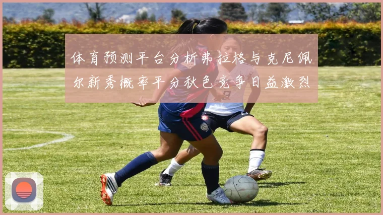 体育预测平台分析弗拉格与克尼佩尔新秀概率平分秋色竞争日益激烈