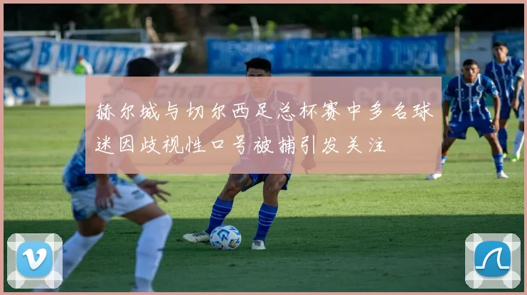 赫尔城与切尔西足总杯赛中多名球迷因歧视性口号被捕引发关注